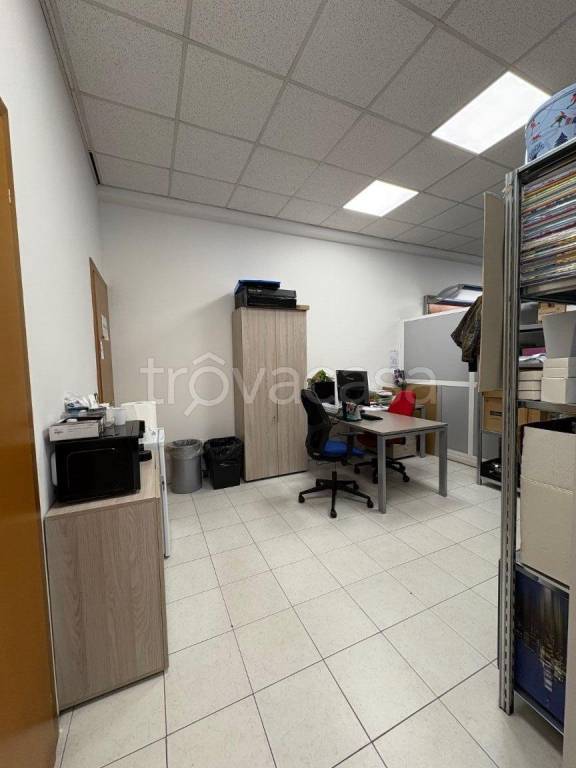 immagine annuncio 5 di 12