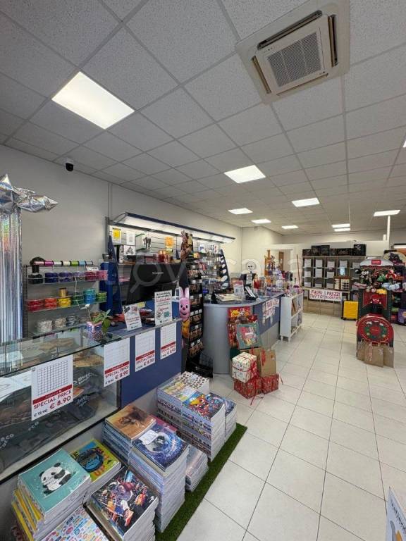 immagine annuncio 3 di 12