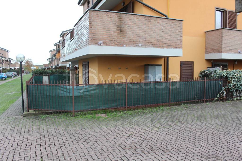 immagine annuncio 6 di 15