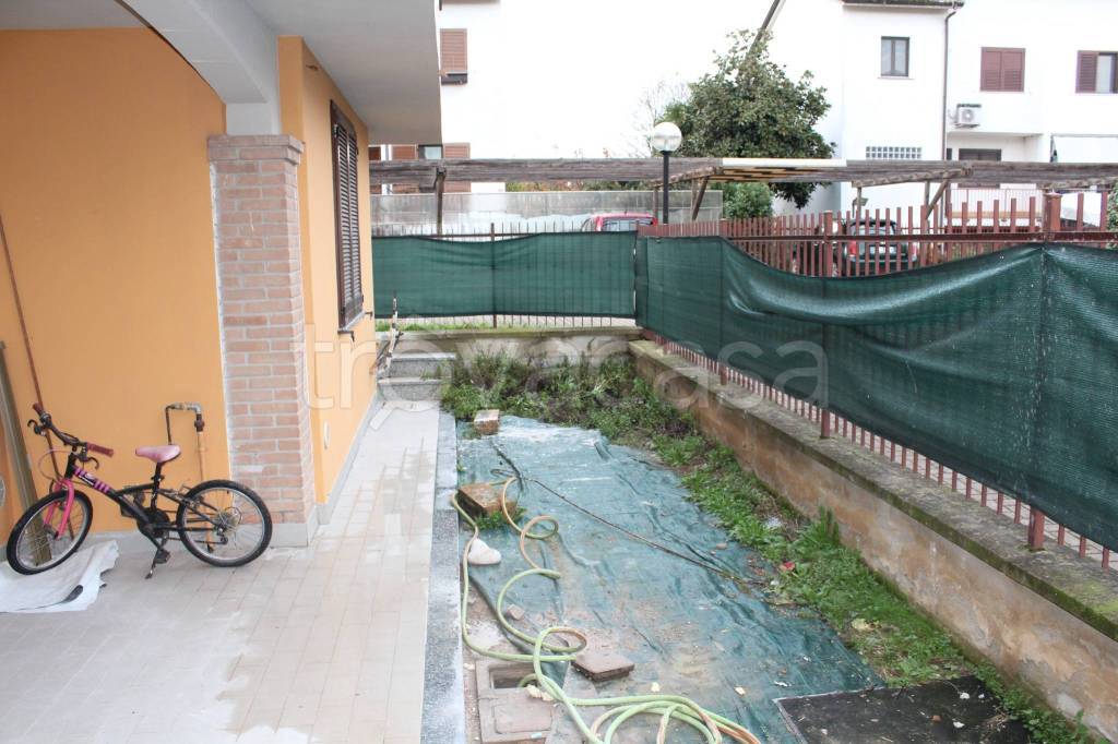 immagine annuncio 9 di 15