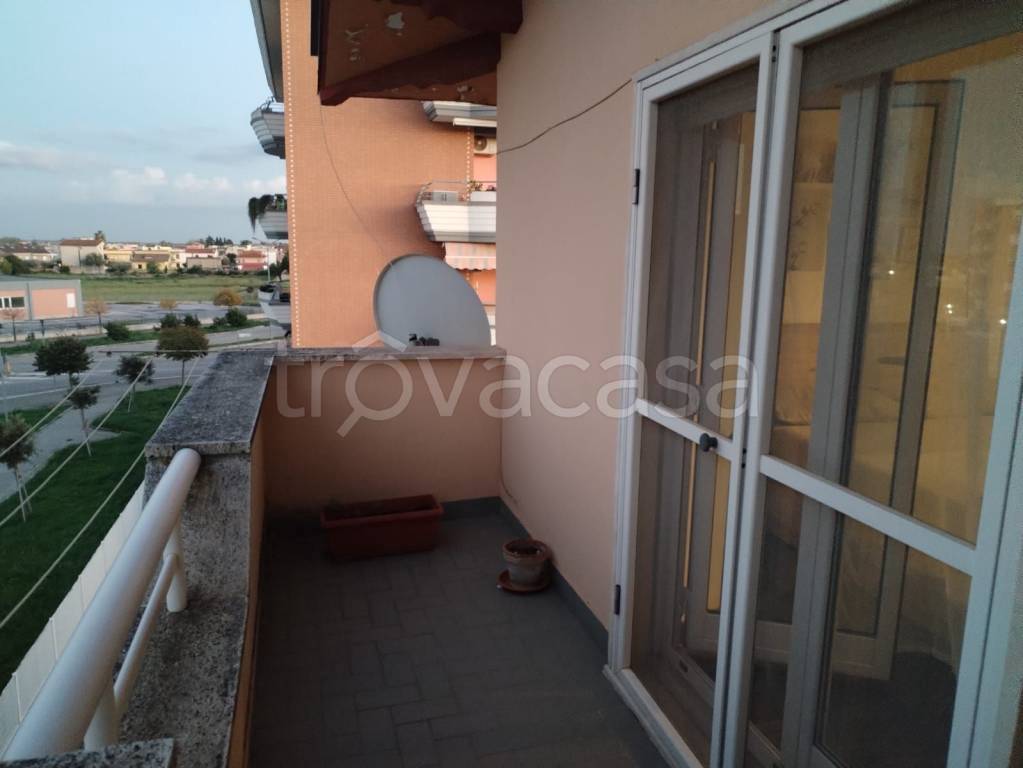 immagine annuncio 12 di 14