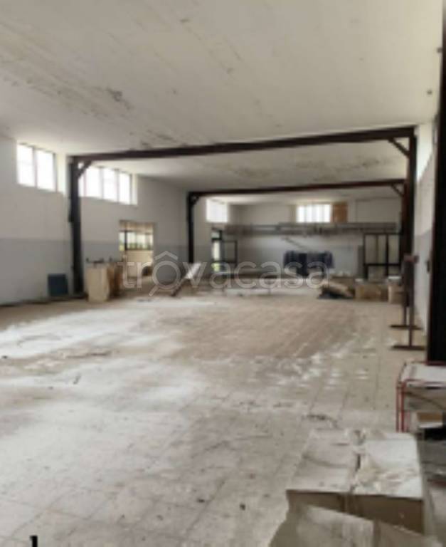 immagine annuncio 2 di 11