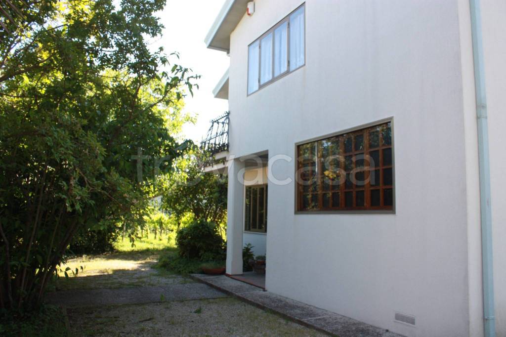 immagine annuncio 5 di 8