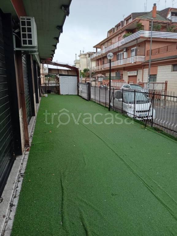 immagine annuncio 3 di 7