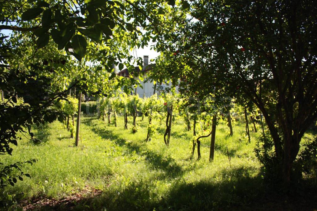 immagine annuncio 6 di 8