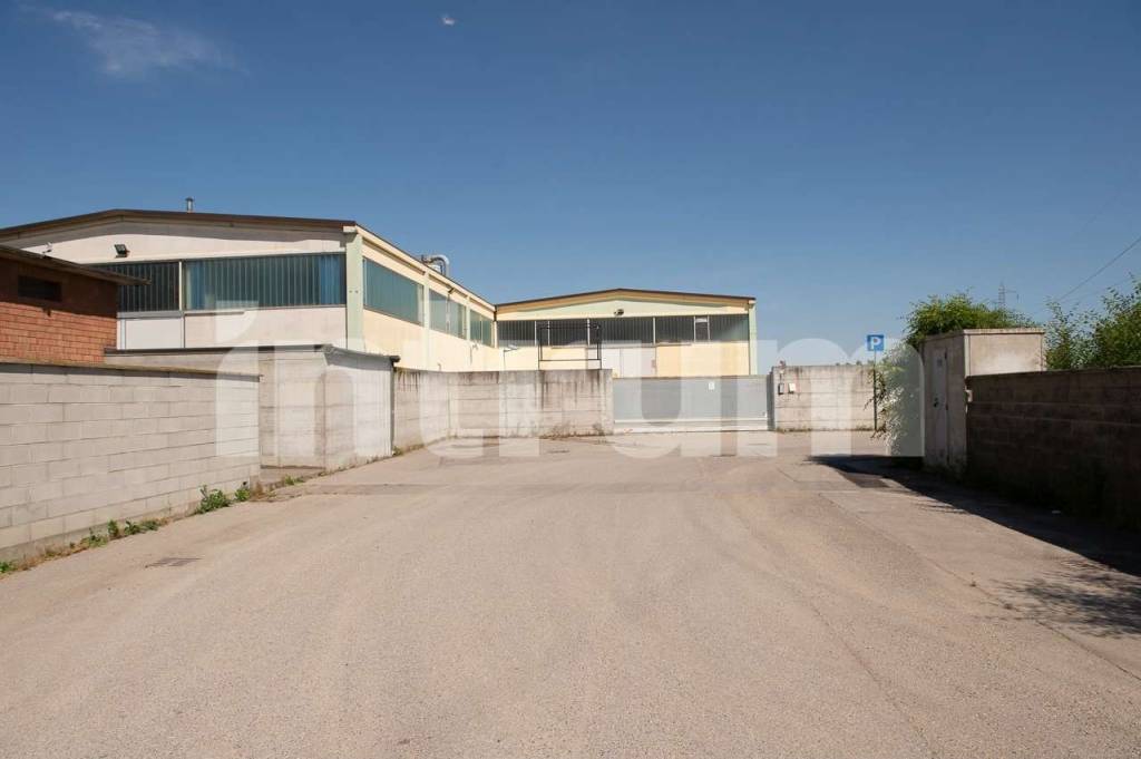 immagine annuncio 1 di 8