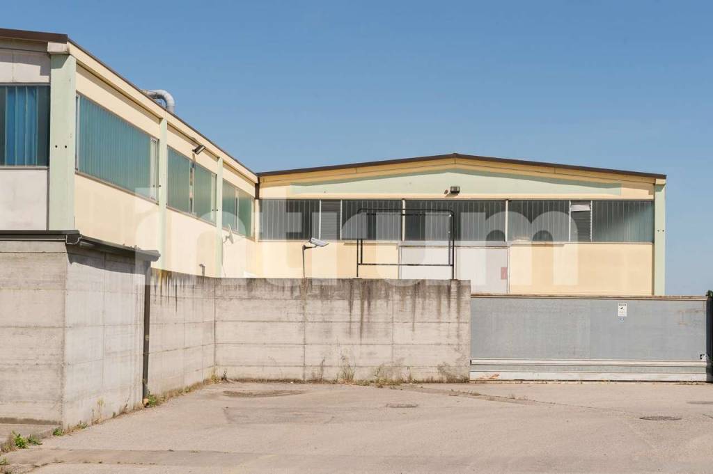 immagine annuncio 2 di 8