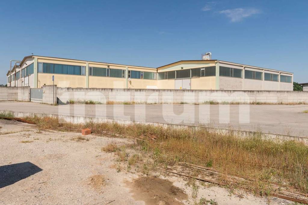 immagine annuncio 3 di 8