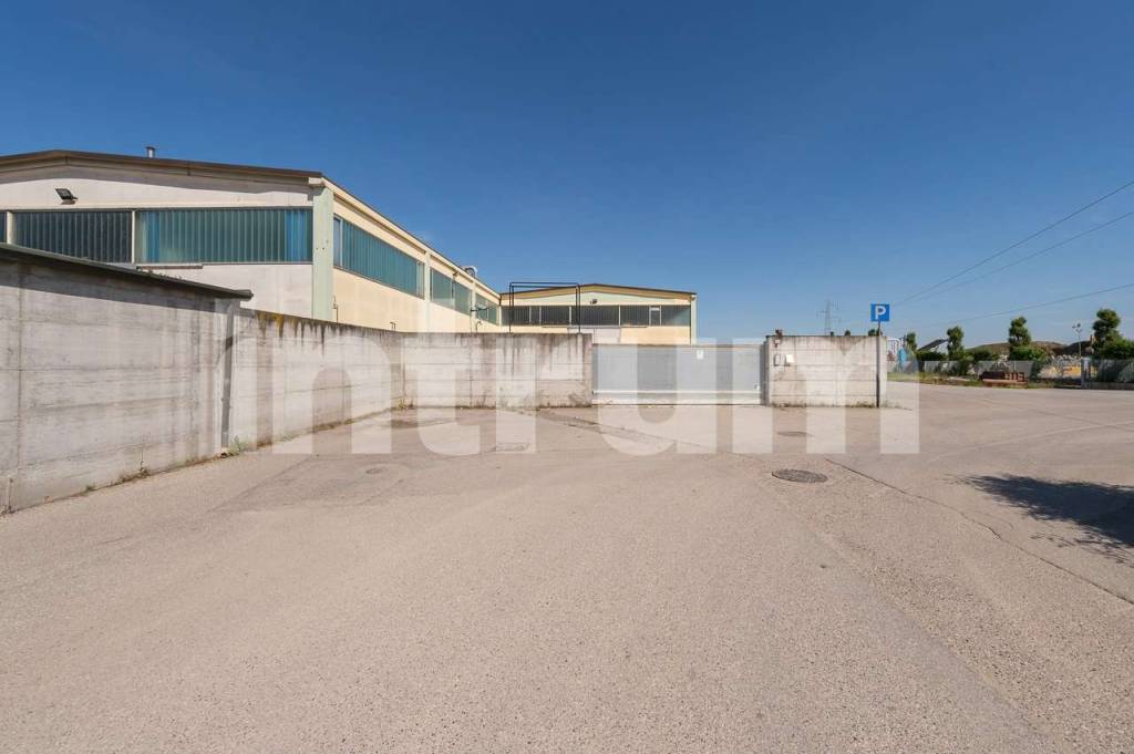 immagine annuncio 4 di 8