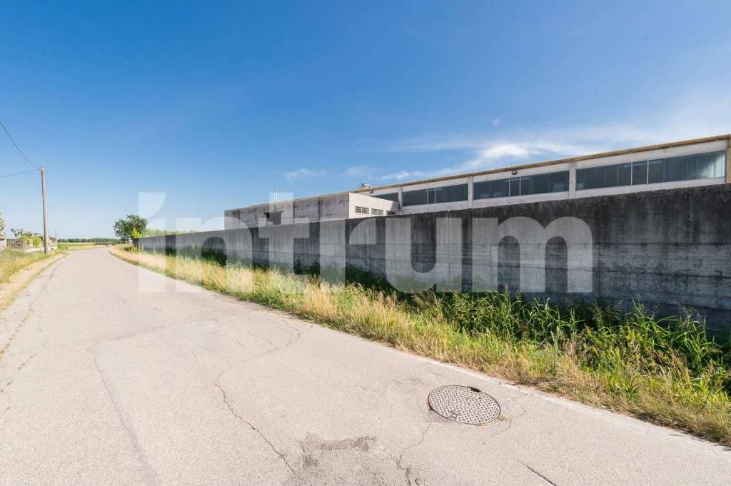 immagine annuncio 7 di 8