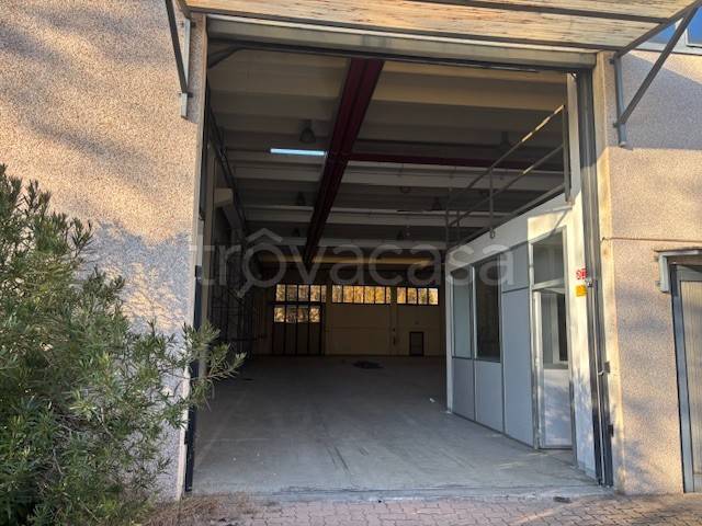 immagine annuncio 8 di 15