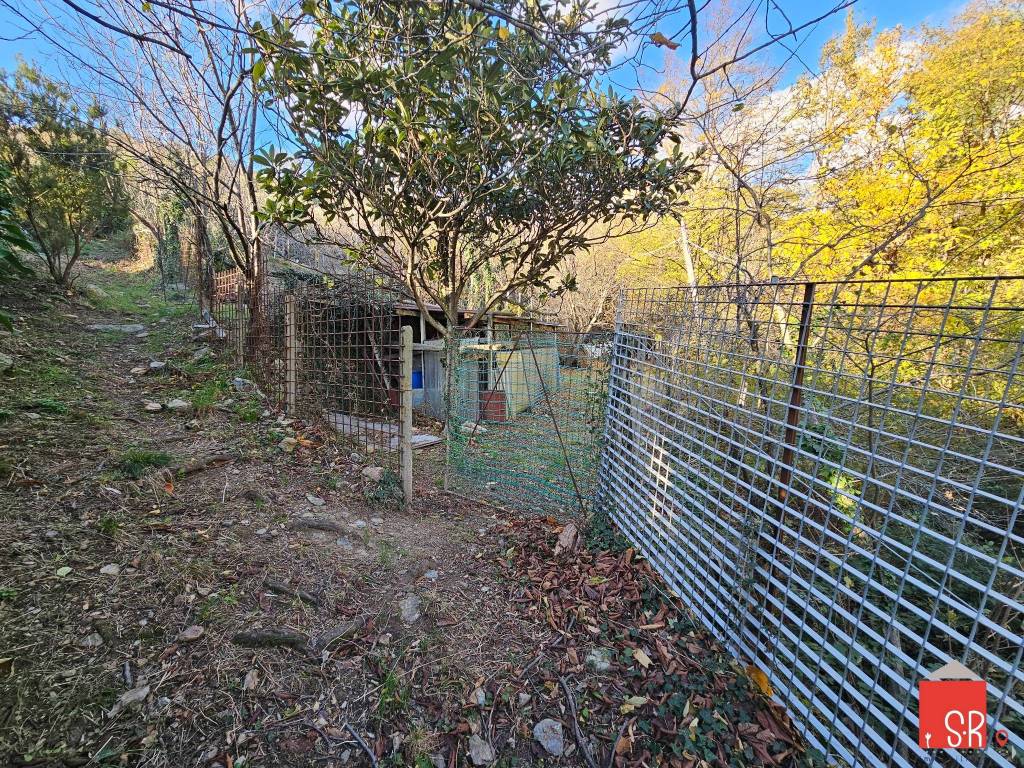 immagine annuncio 11 di 15