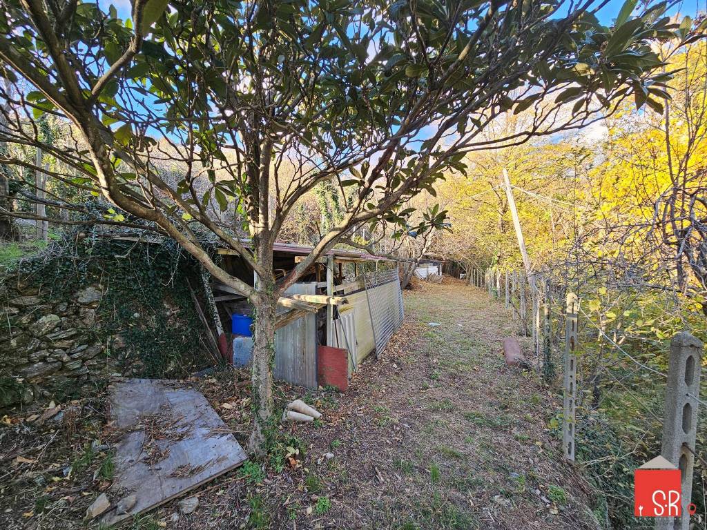 immagine annuncio 12 di 15