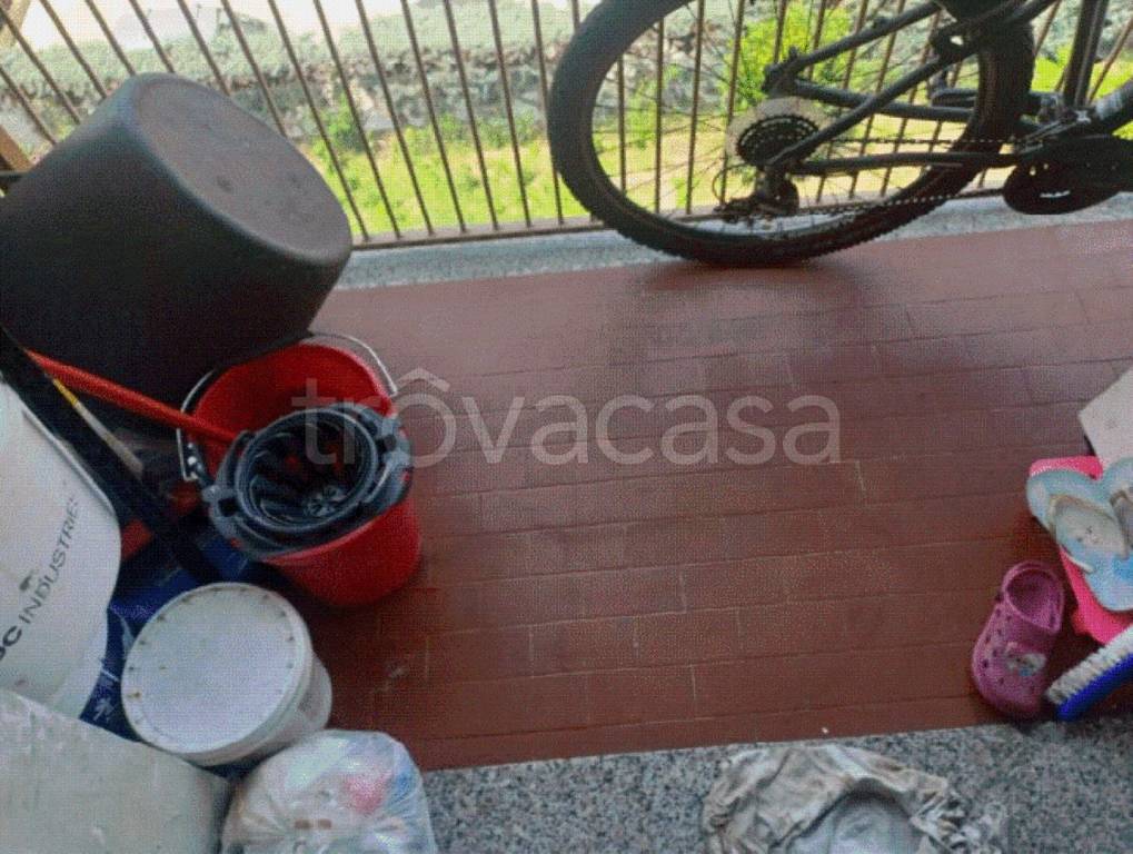 immagine annuncio 5 di 12