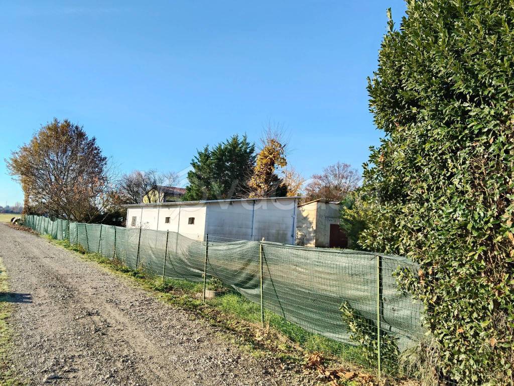 immagine annuncio 5 di 15