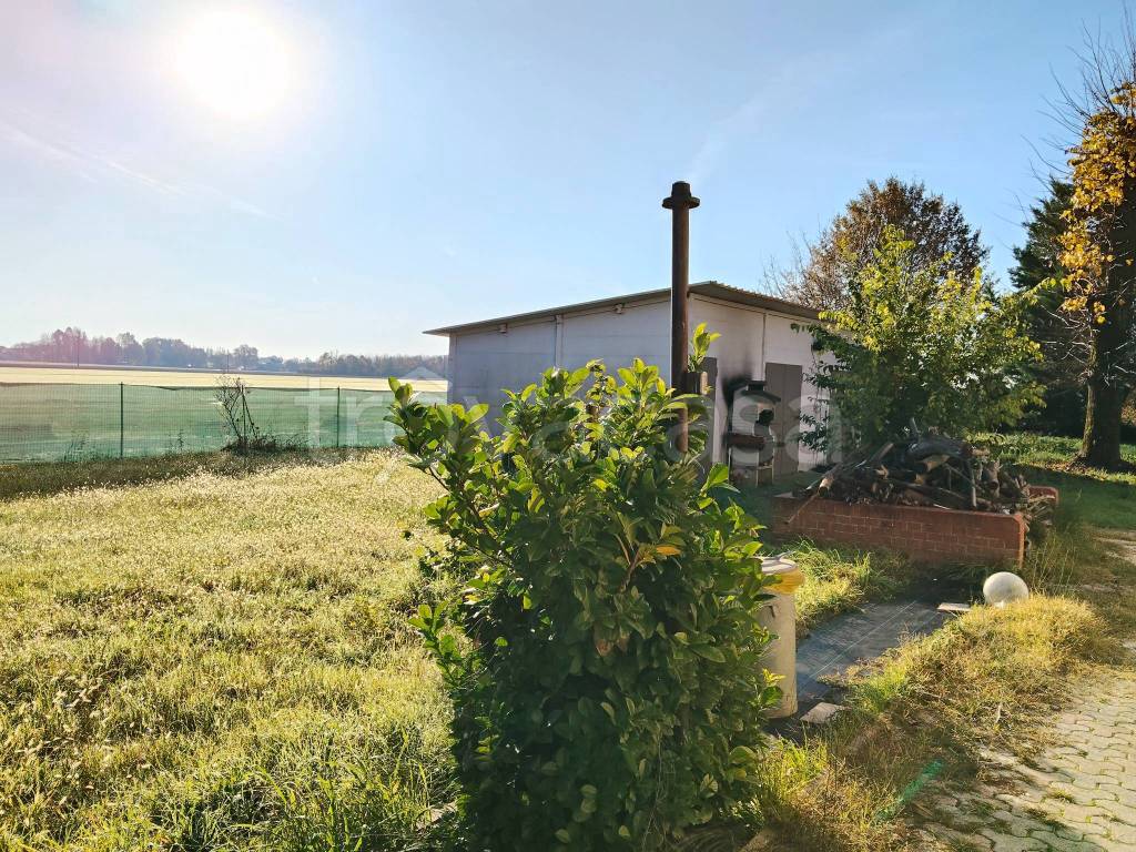 immagine annuncio 6 di 15