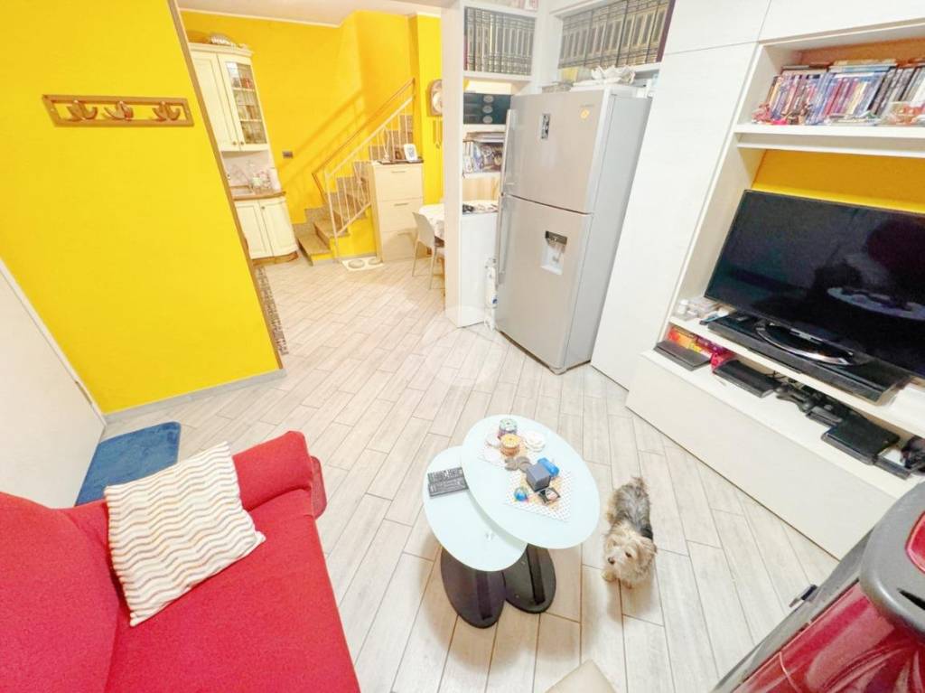 immagine annuncio 6 di 15