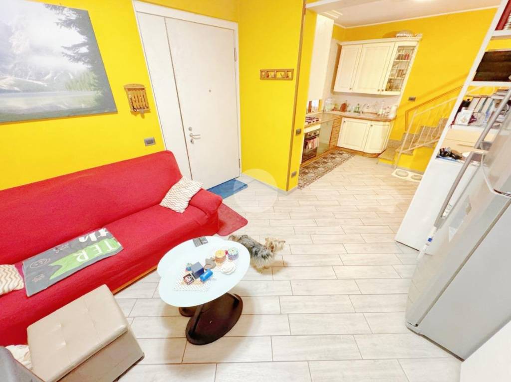 immagine annuncio 7 di 15