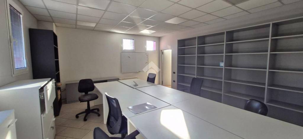 immagine annuncio 4 di 12