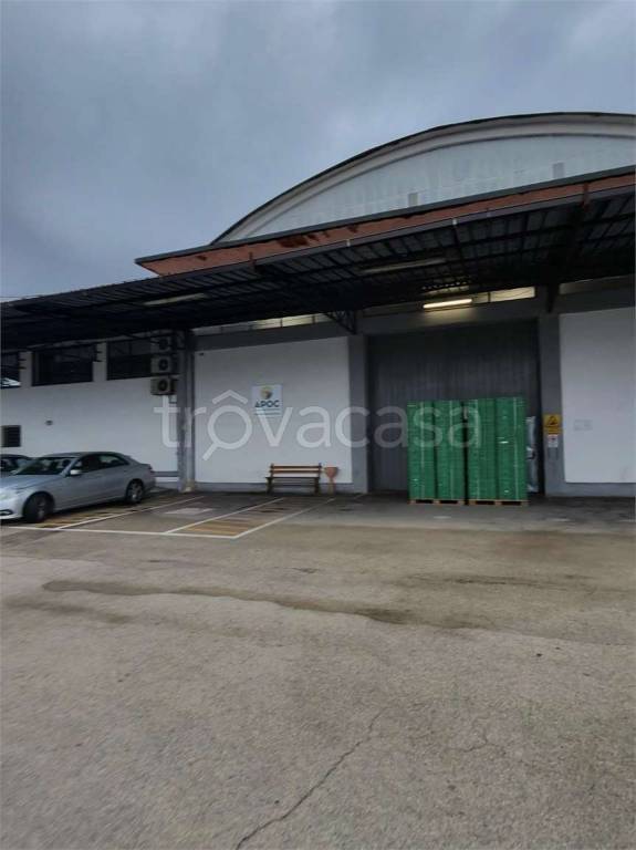 immagine annuncio 1 di 8