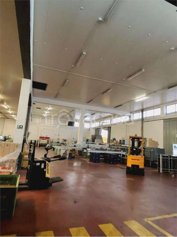 immagine annuncio 2 di 8