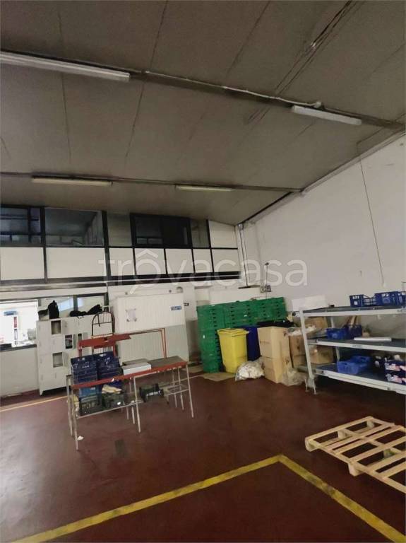 immagine annuncio 3 di 8