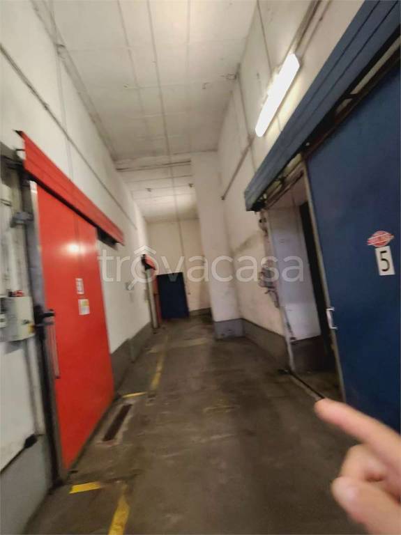 immagine annuncio 5 di 8