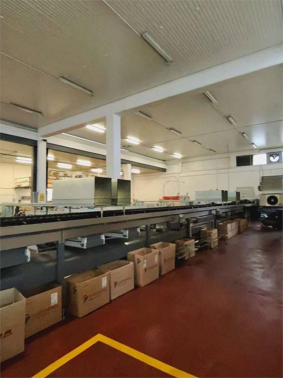 immagine annuncio 6 di 8