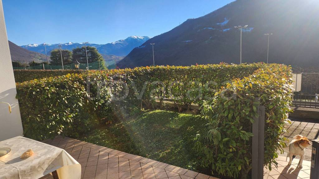 immagine annuncio 6 di 15