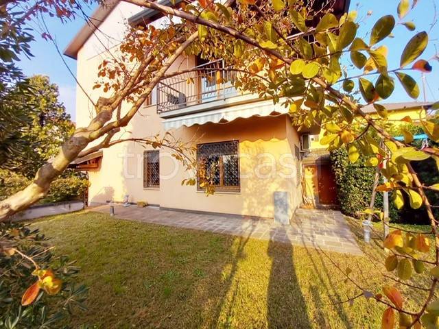 immagine annuncio 4 di 7