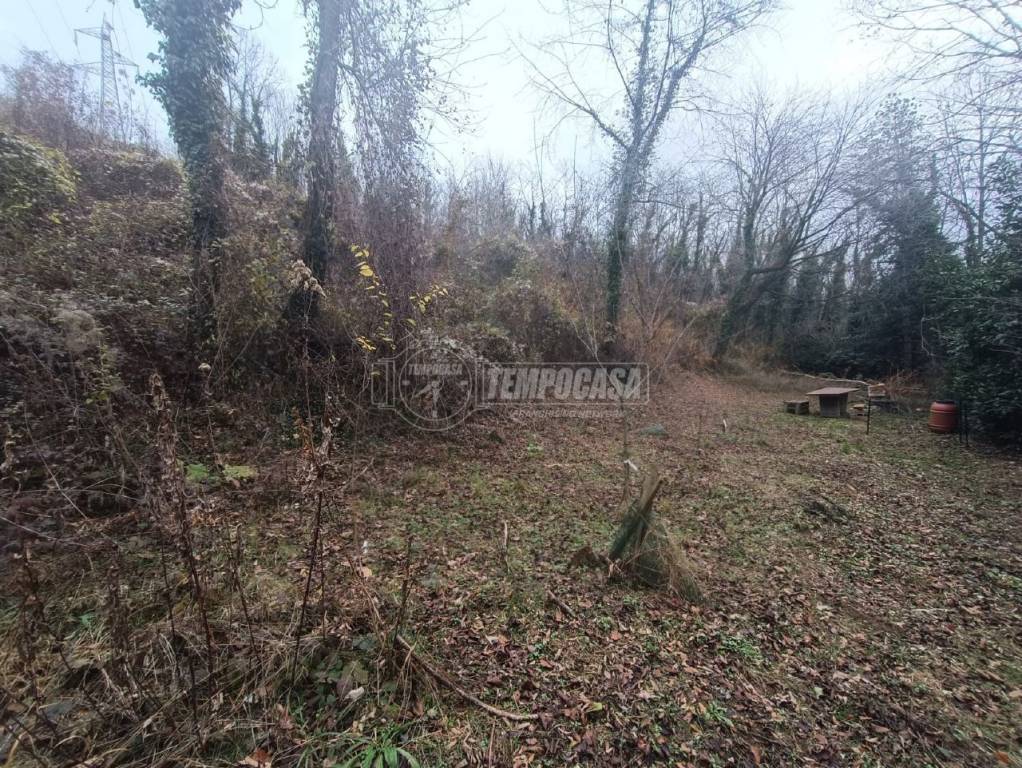 immagine annuncio 1 di 7