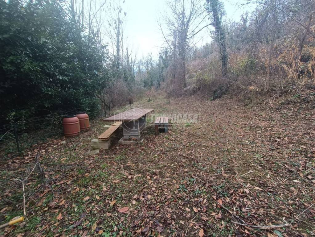 immagine annuncio 2 di 7