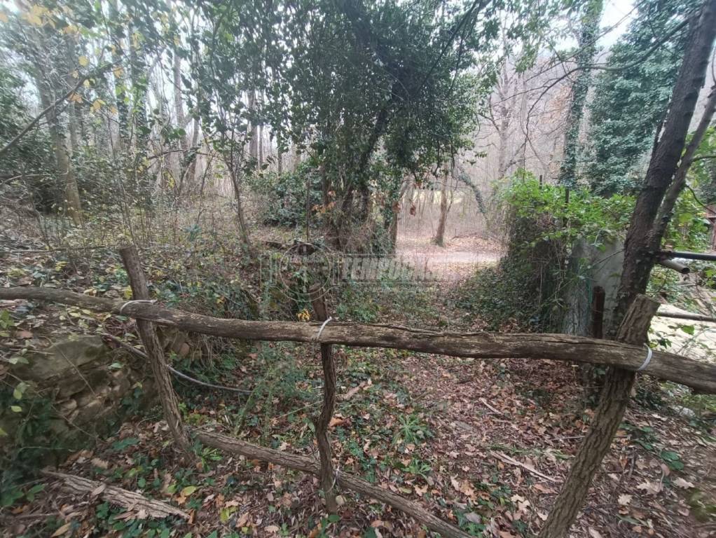 immagine annuncio 3 di 7