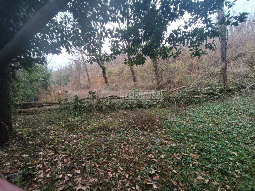 immagine annuncio 5 di 7