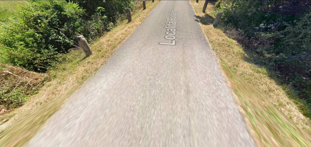 immagine annuncio 6 di 14