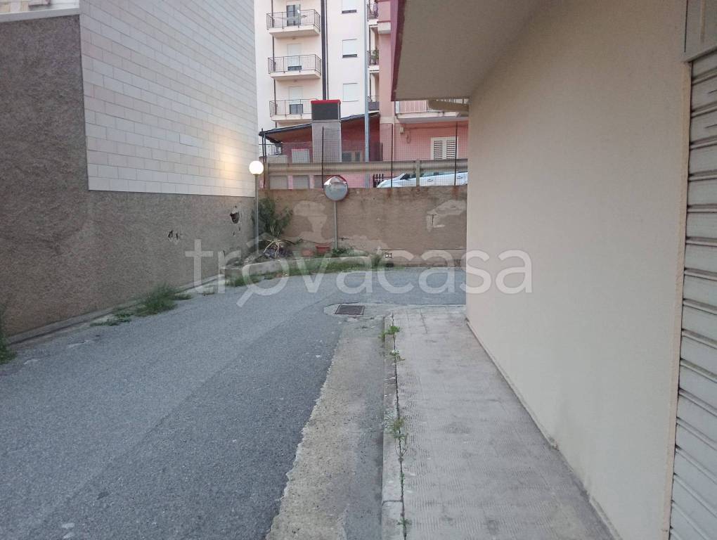 immagine annuncio 12 di 14