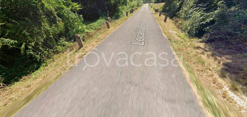 immagine annuncio 11 di 14