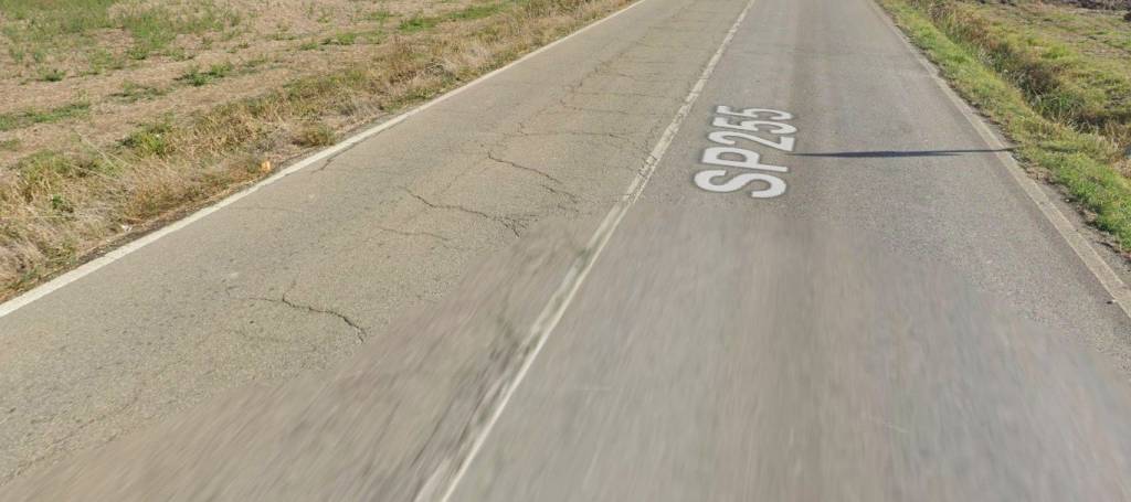 immagine annuncio 1 di 11