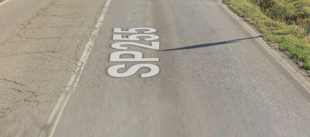 immagine annuncio 4 di 11