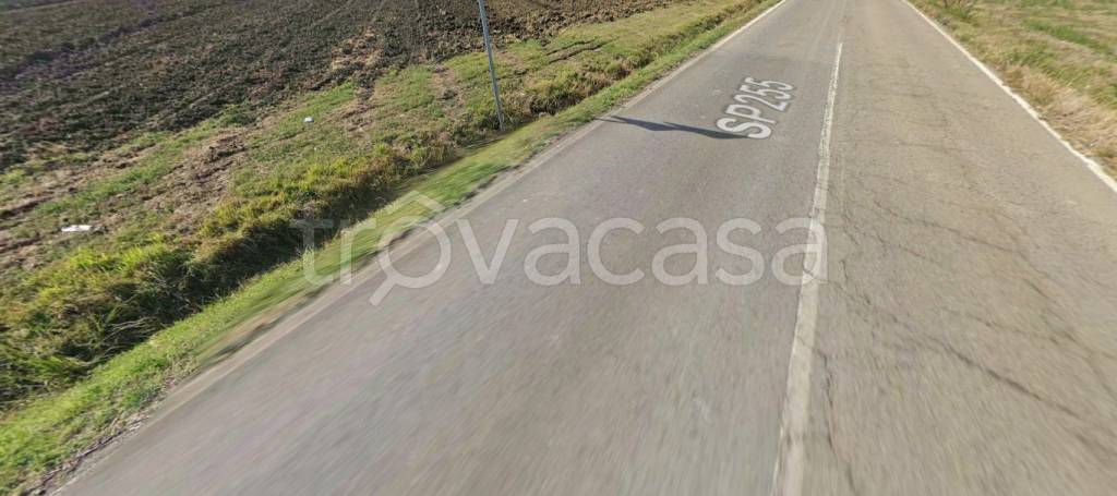 immagine annuncio 6 di 11