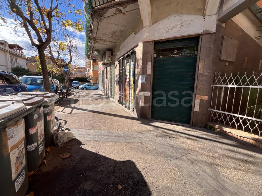 immagine annuncio 2 di 13