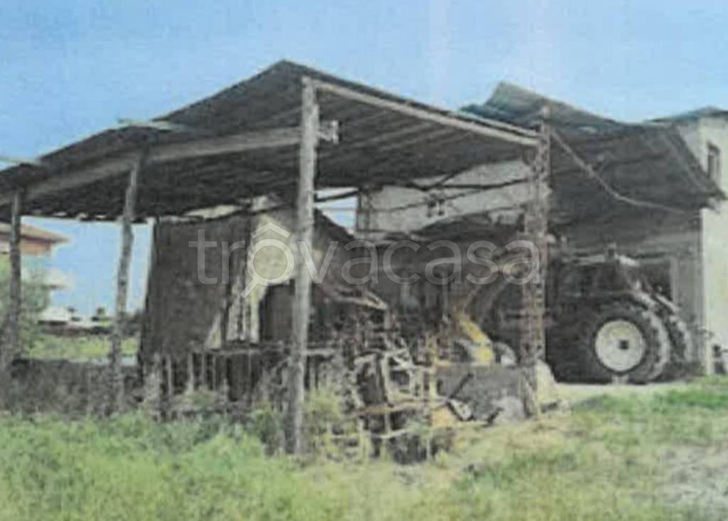 immagine annuncio 4 di 11