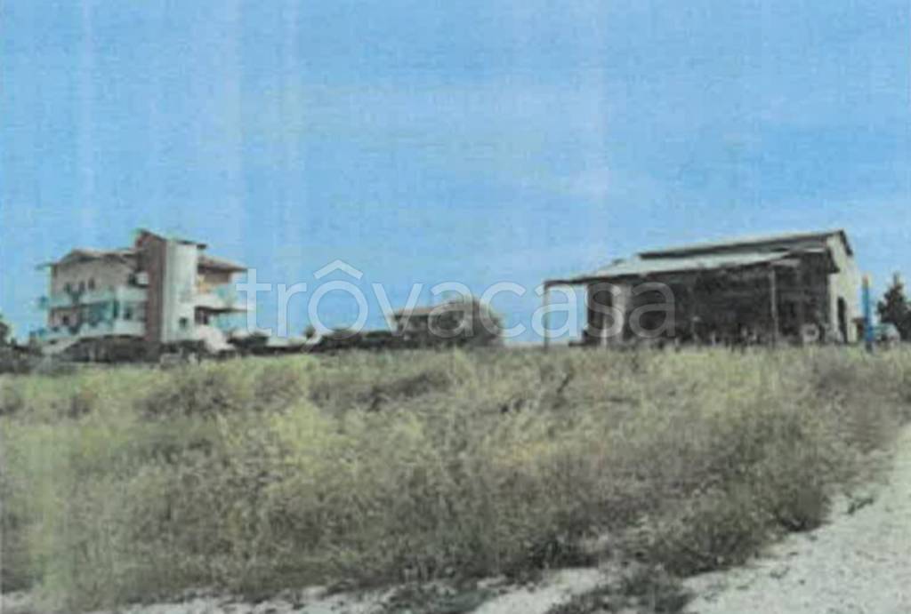 immagine annuncio 5 di 11