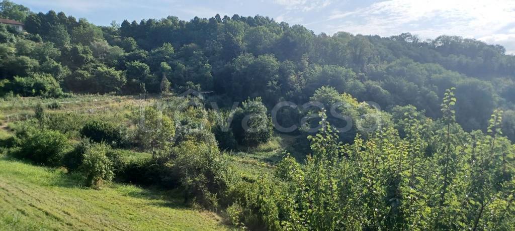 immagine annuncio 5 di 7