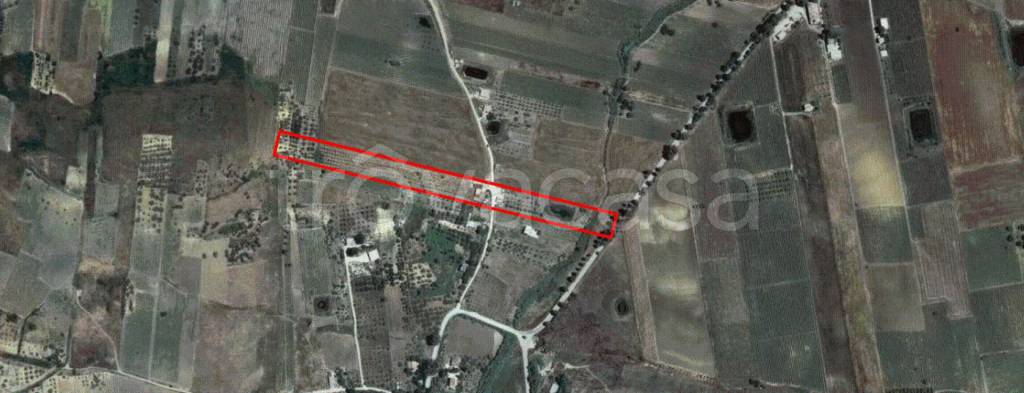 immagine annuncio 2 di 8