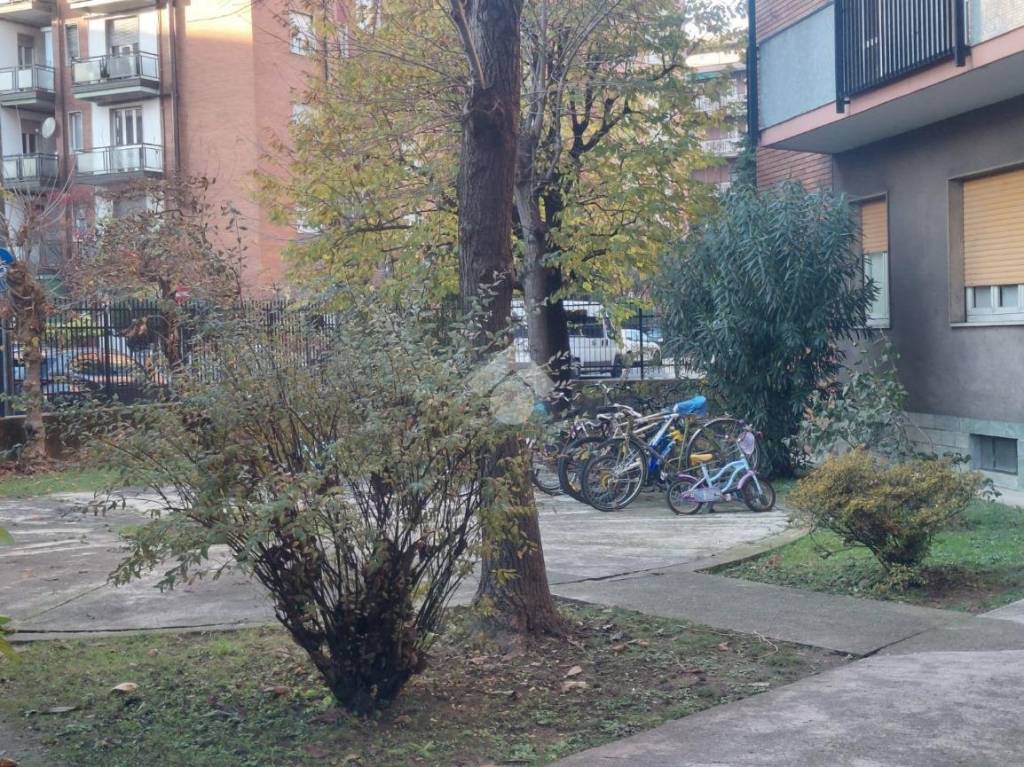 immagine annuncio 9 di 15