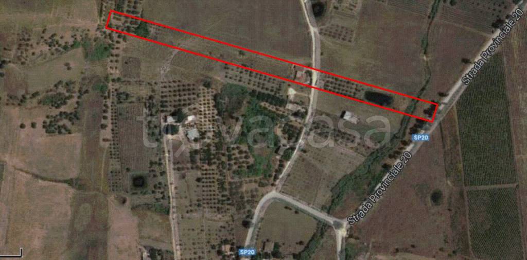 immagine annuncio 3 di 8