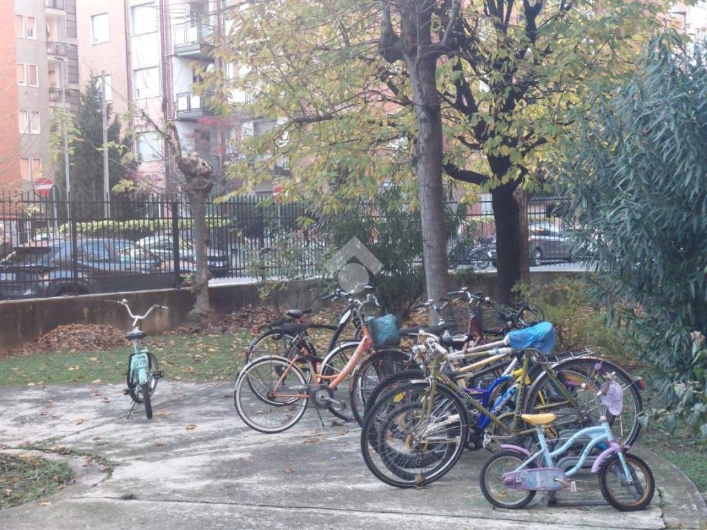 immagine annuncio 11 di 15