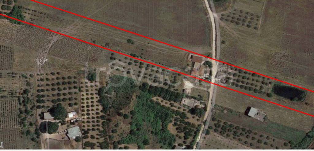 immagine annuncio 4 di 8