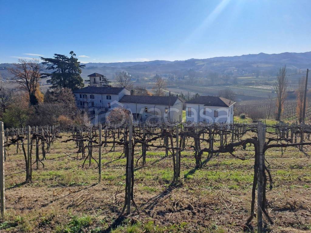 immagine annuncio 7 di 14